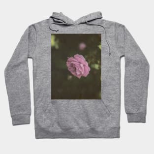 Vintage pink rose Hoodie